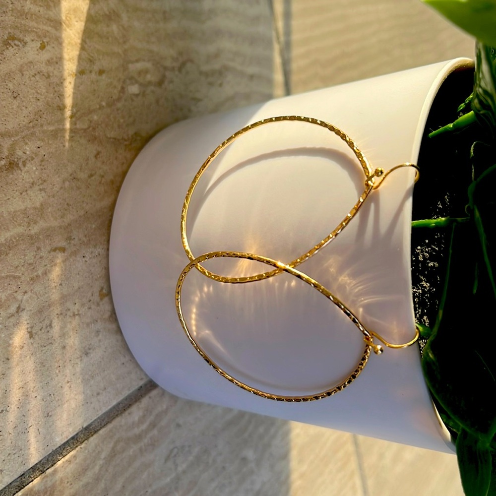 Fashion Hoop Earrings never worn